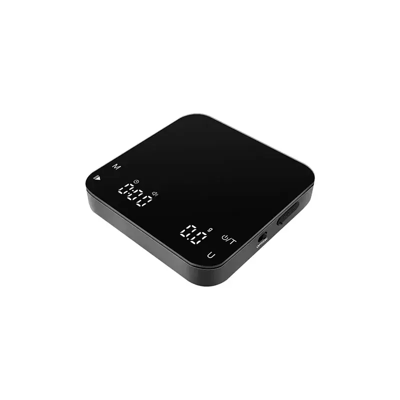 Mini scale